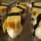 Hoe Tamago Sushi te maken [recept]