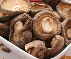 Shiitake