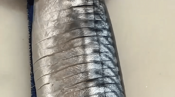 Genieten van Traditie: De Verborgen Verrukking van Saba Bo Sushi